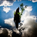 20110331222922_hope_cyril_reze.jpg 20110331222922_hope_cyril_reze.jpg