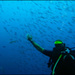 20110330104211_extase.jpg 20110330104211_extase.jpg