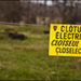 20110328220612_l_electricite_est_dans_le_pre.jpg