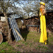 20110329224432_dejauner_au_bois.jpg 20110329224432_dejauner_au_bois.jpg