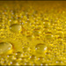 20110330145654_gouttes_.jpg 20110330145654_gouttes_.jpg