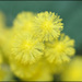 20110330230016_dsc_0080.jpg 20110330230016_dsc_0080.jpg