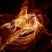 20110330234601_7826_le_magicien2.jpg 20110330234601_7826_le_magicien2.jpg
