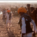 20110331132728_herders_in_the_dust_borcard_metraux.jpg