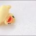 20110328210136_l_age_de_la_raison.jpg 20110328210136_l_age_de_la_raison.jpg