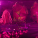 20110328213757_reve_rose.jpg 20110328213757_reve_rose.jpg