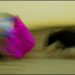 20110329002109_le_combat_magenta.jpg 20110329002109_le_combat_magenta.jpg
