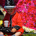 20110329105623__dsc2533_petit_magicien.jpg 20110329105623__dsc2533_petit_magicien.jpg