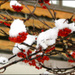 20110329140226_en_rouge_et_blanc.jpg 20110329140226_en_rouge_et_blanc.jpg