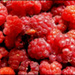 20110329203412_punaise!.jpg 20110329203412_punaise!.jpg