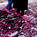 20110329130823_feuilles.jpg 20110329130823_feuilles.jpg