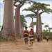 20110527125500_chatelier_madagascar.jpg