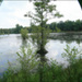 20110530172651_l_etang 20110530172651_l_etang
