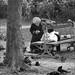 20110530163241_la_vielle_dame_sdf_et_les_pigeons 20110530163241_la_vielle_dame_sdf_et_les_pigeons