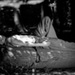20110603113510_en_attendant_la_lune 20110603113510_en_attendant_la_lune