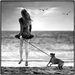 20110607173233_2011_04_16_plage_paques_5046v501 20110607173233_2011_04_16_plage_paques_5046v501
