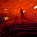 20110711112949_2011_07_09_psycho_6 20110711112949_2011_07_09_psycho_6