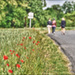 20110719111720_la_balade 20110719111720_la_balade