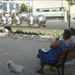 20110730005028_pour_concours_photo_dsc09426 20110730005028_pour_concours_photo_dsc09426