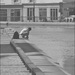 20110807114820_l_homme_sur_canal 20110807114820_l_homme_sur_canal