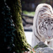 20111212110030_11122011_img_3798_3 20111212110030_11122011_img_3798_3