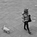 20111213121740_dsc_8651 20111213121740_dsc_8651