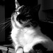 20120130135219__dsc0015 20120130135219__dsc0015