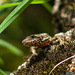 20120130135042_je_vous_ai_a_l_oeil 20120130135042_je_vous_ai_a_l_oeil