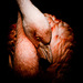 20120130152334_dark_floyd 20120130152334_dark_floyd