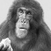 20120130171430_think_different 20120130171430_think_different