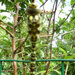 20120130202806_libeltiges_ 20120130202806_libeltiges_