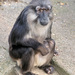 20120131085117_zoo_2011_093 20120131085117_zoo_2011_093