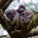 20120131084334__mg_8118_modifier 20120131084334__mg_8118_modifier