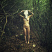 20120130184909_shifter 20120130184909_shifter