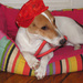 20120131154109_bandit_acte_1 20120131154109_bandit_acte_1