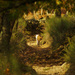 20120131192918_le_chemin 20120131192918_le_chemin