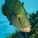 20120131175423_1110_mer_rouge_6751 20120131175423_1110_mer_rouge_6751