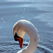 20120201151210_efef 20120201151210_efef