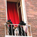 20120201164650_les_clebards_ 20120201164650_les_clebards_