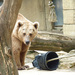 20120202193831_ours