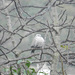 20120203211817_dscn1293 20120203211817_dscn1293