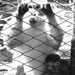 20120204164056_funky_monkey 20120204164056_funky_monkey