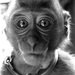 20120205195149_singe_ts 20120205195149_singe_ts