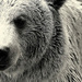 20120204074908_oui_eh_quoi_ 20120204074908_oui_eh_quoi_