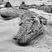 20120204195532_p1020849_38_modifier_2 20120204195532_p1020849_38_modifier_2