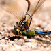 20120209204444_dsc_0602 20120209204444_dsc_0602