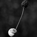20120208232020_escargot_tige_4 20120208232020_escargot_tige_4