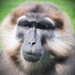 20120208234308_expo_originale_acte1 20120208234308_expo_originale_acte1