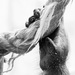 20120212165445_riviere_pascal___pouce 20120212165445_riviere_pascal___pouce