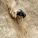20120210105148_gnou_0327_2 20120210105148_gnou_0327_2